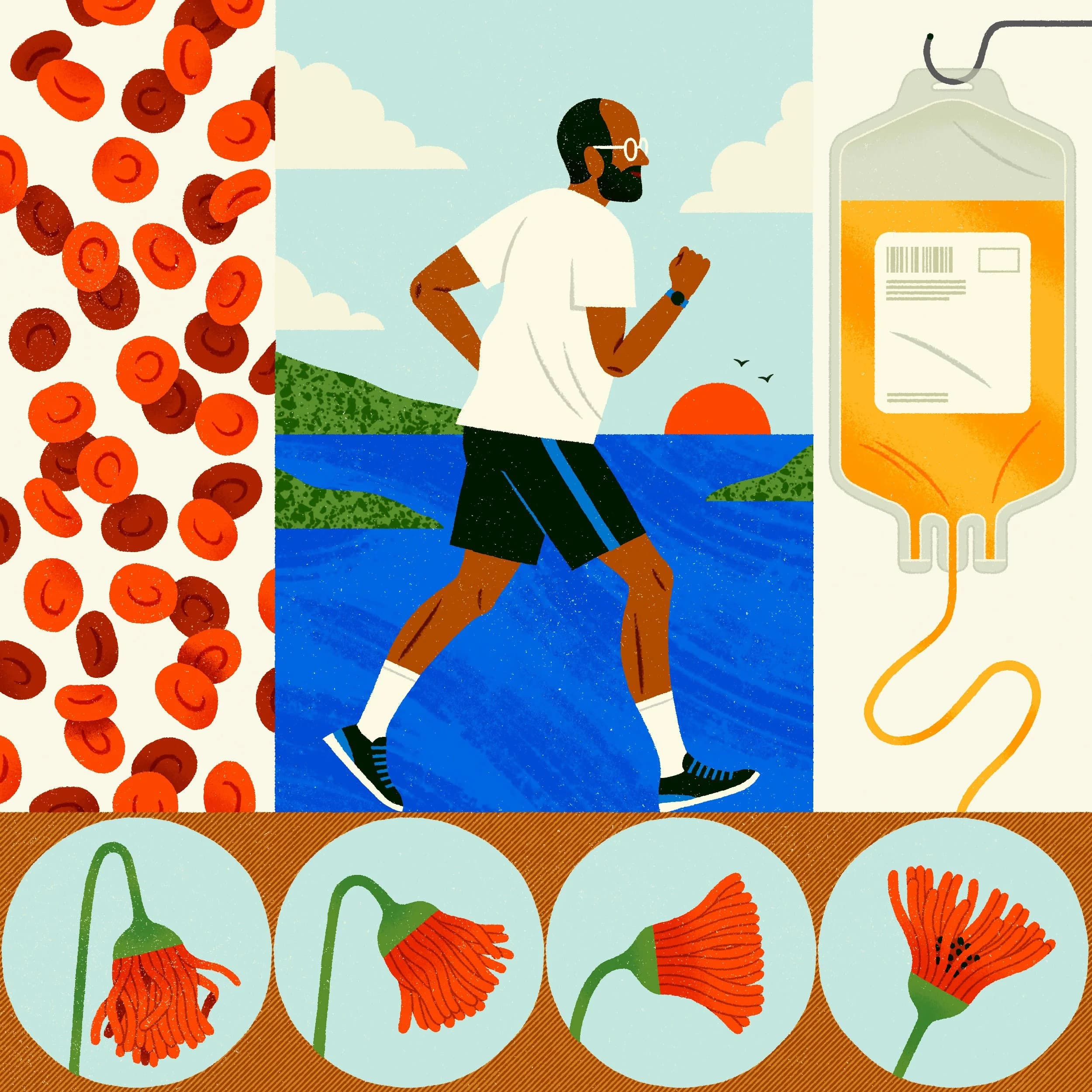Montse Galbany - for The New York Times - Plasma Exchange vs. Longevity