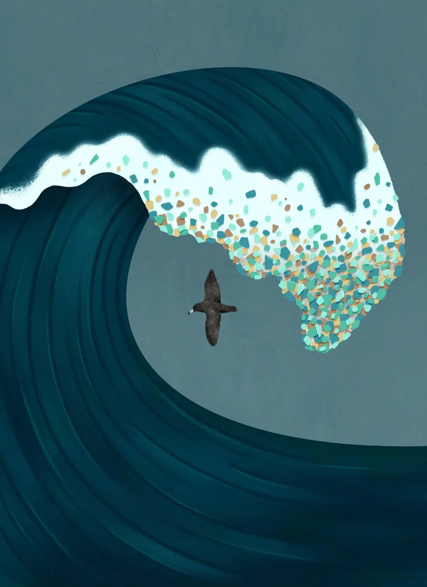 Paige Stampatori - for Canadian Wildlife Magazine - Waves of plastic