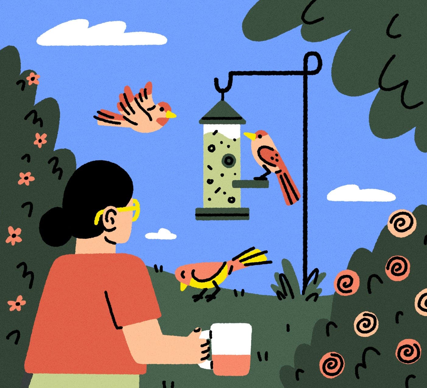 Sunny Eckerle - for Sierra Magazine - Tips for attracting and feeding birds in your backyard